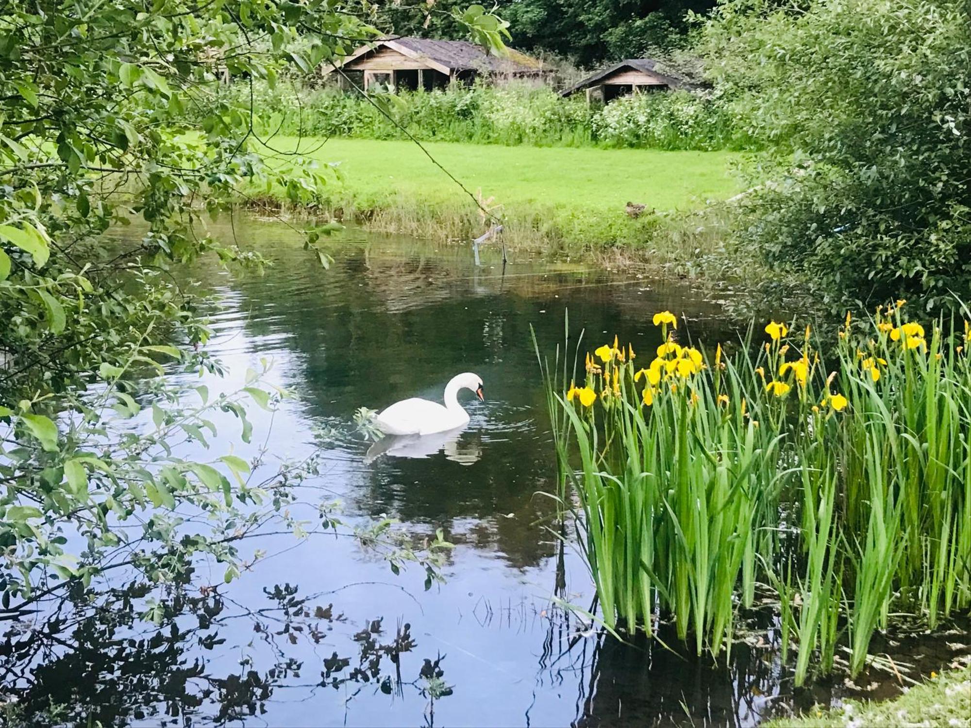 Bransford Farm Fishery & B & B Exterior foto
